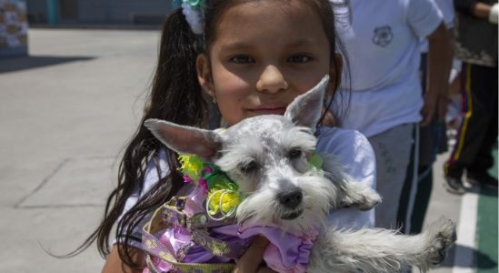 Kukur Tihar A Kukur Tihar A