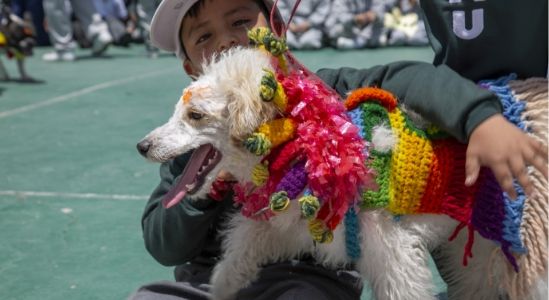 Kukur Tihar E Kukur Tihar E