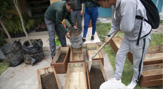 Waylla Home C Waylla Home C