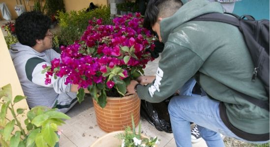 Waylla Home D Waylla Home D